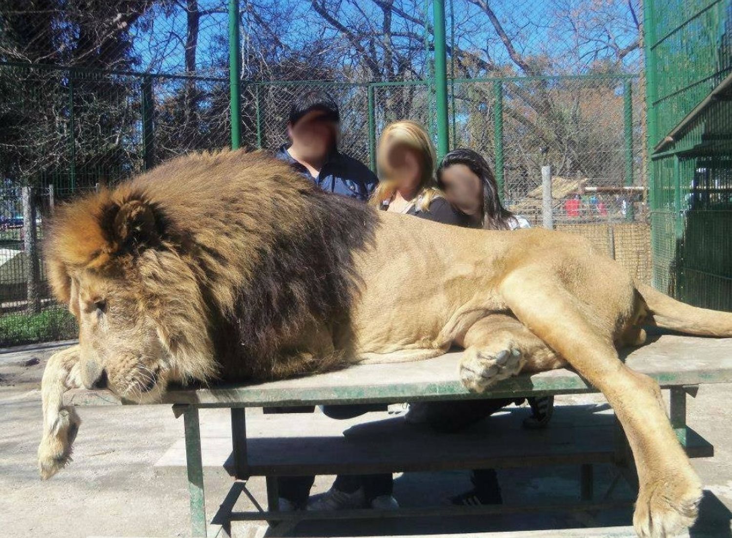 Zoológico de Luján: Avanza pedido para inhabilitar el predio por maltrato animal