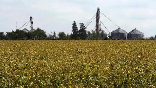 Macri quitó las restricciones a la venta de campos a extranjeros