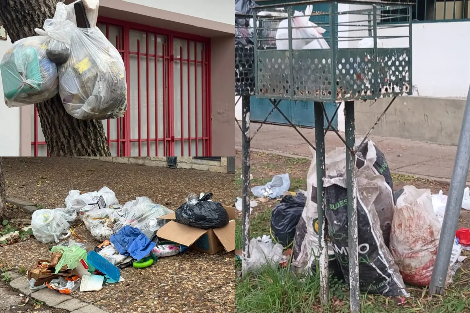 En diversos puntos de la ciudad hay basura desparramada por el accionar de los perros.