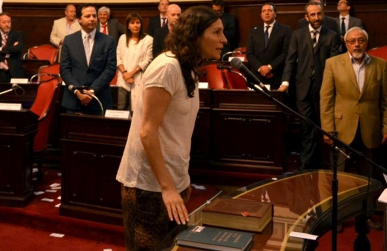 Nuevo Encuentro tendrá bloque propio en el Senado Bonaerense 