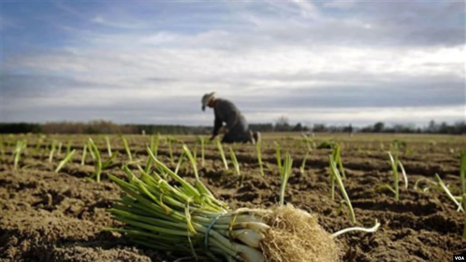 La crisis alimentaria, la asignatura pendiente en 2022