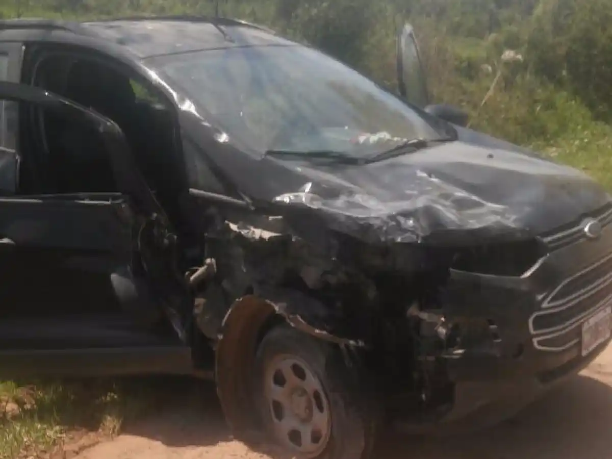 Chocan camioneta y camión en camino rural de Brinkmann 