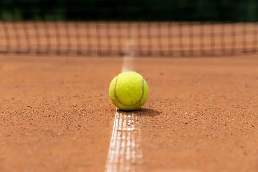 Las dificultades por las que ha pasado Diego Schwartzman en el último año