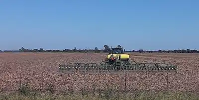 Soja y maíz, protagonistas: producción récord y fuerte empuje exportador