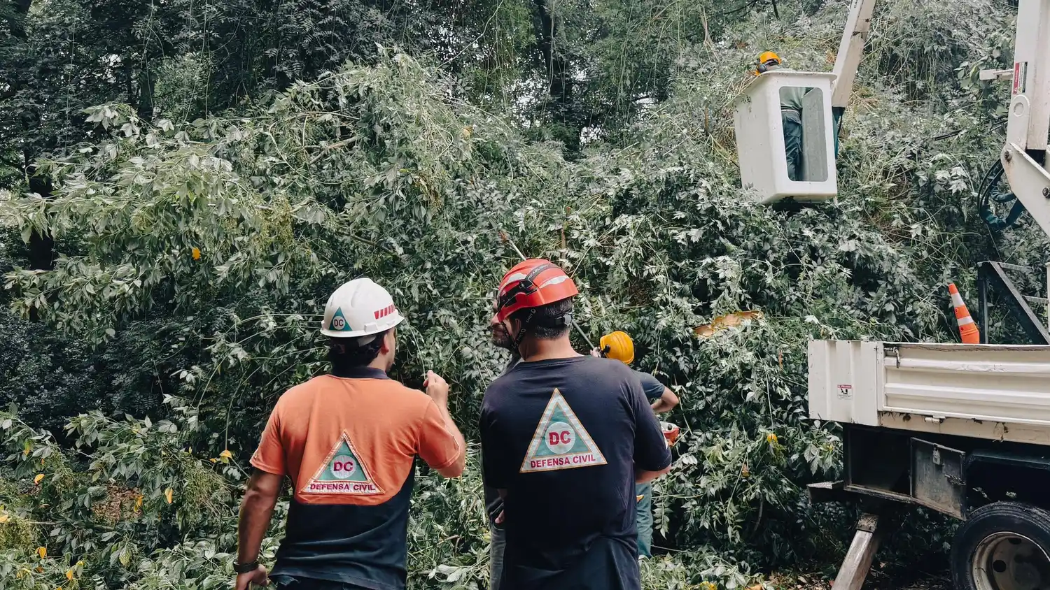 Más de 20 intervenciones de Defensa Civil por ramas, cables y voladuras de techos