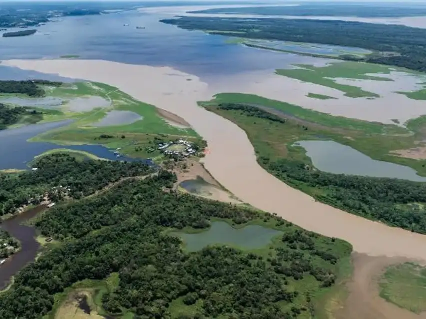 Creció la deforestación en la Amazonia brasileña.