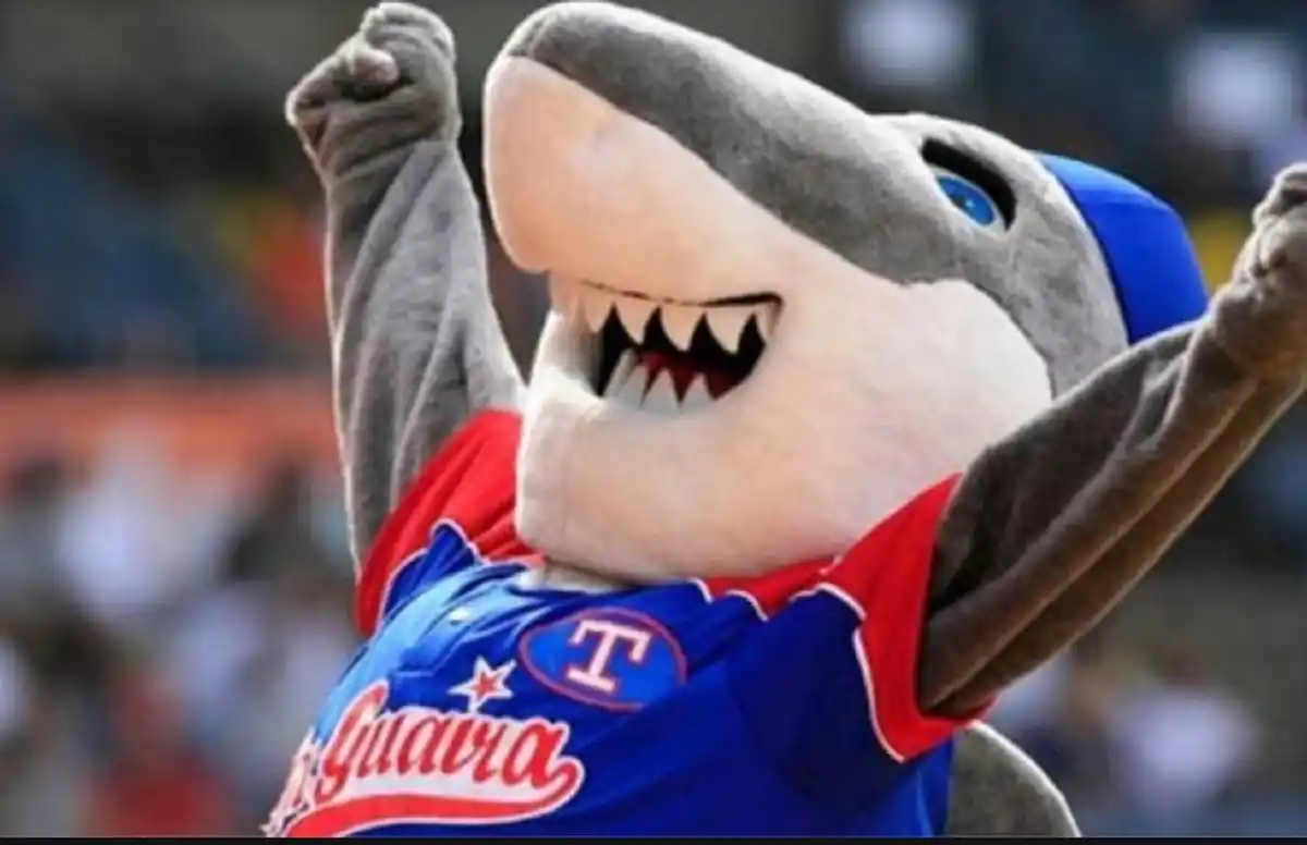 ¡SE ACABÓ LA SEQUÍA DE 38 AÑOS! La samba de La Guaira SE VA A LA SERIE DEL CARIBE