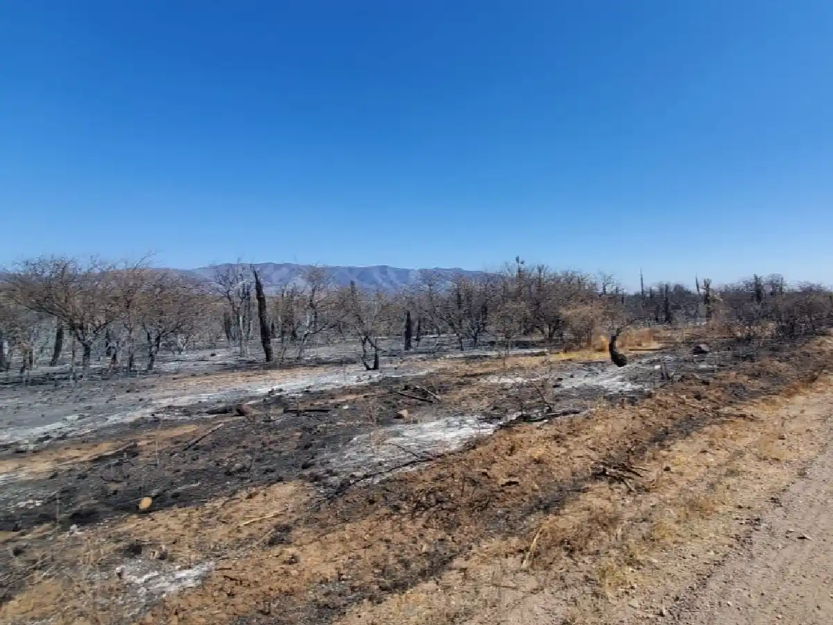 Confirman una víctima fatal en el incendio de Yacanto de Calamuchita