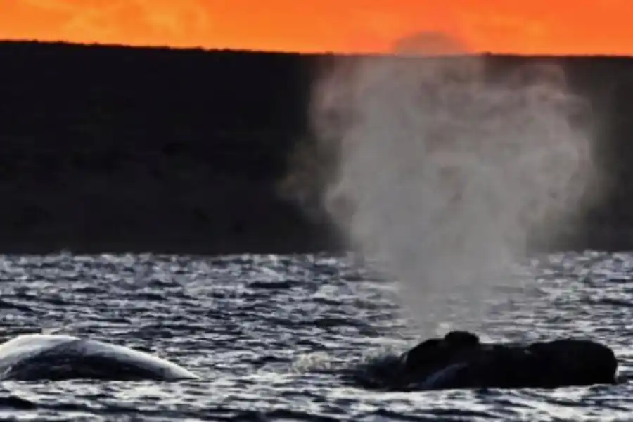 En Trelew se ofrecerá una muestra fotográfica. Créditos: Maxi Jonas