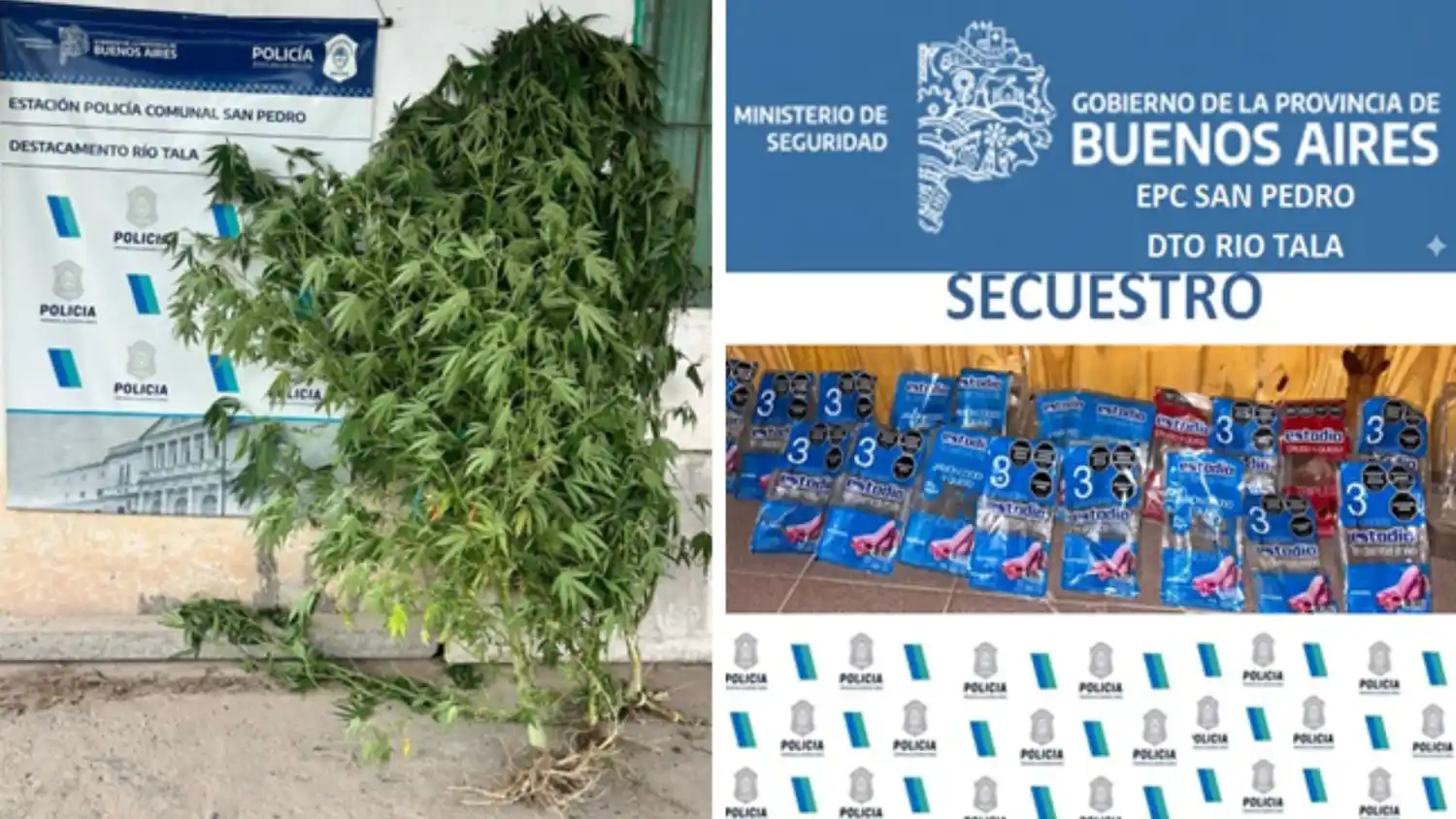 Además de diversos elementos, también fueron halladas plantas de marihuana.