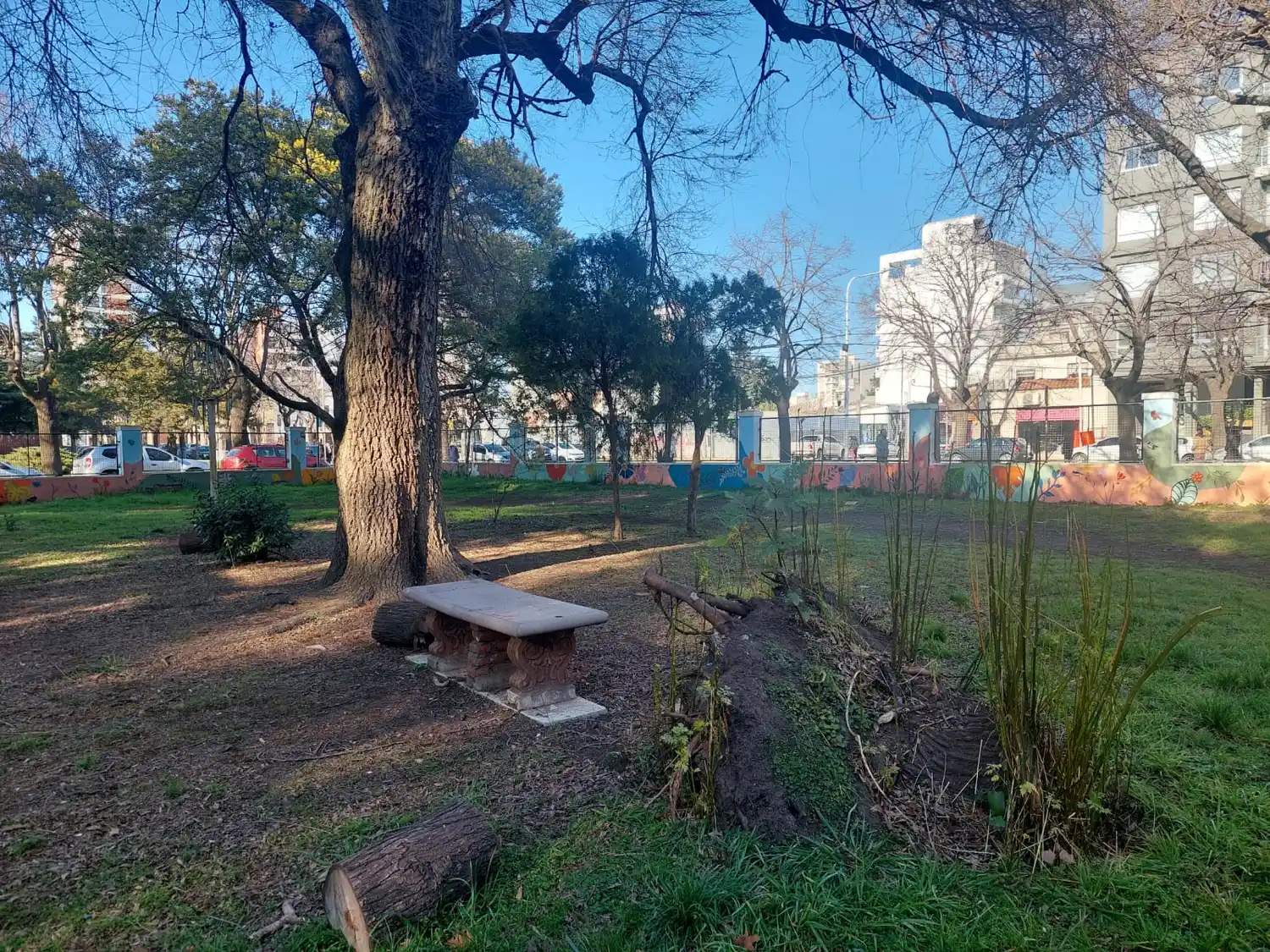 Se realizaron tareas de limpieza, pintado y reacondicionamiento del patio de la escuela