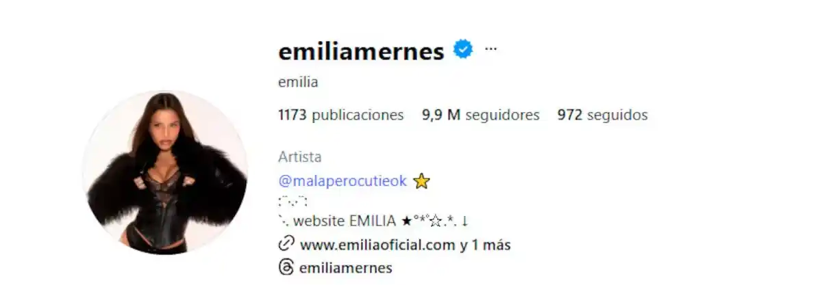 Emilia Mernes perdió miles de seguidores en medio del escándalo - 2