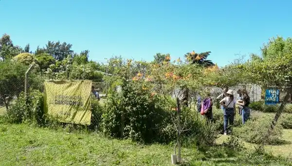 Este miércoles comienza el ciclo de talleres sobre plantas nativas en el vivero municipal