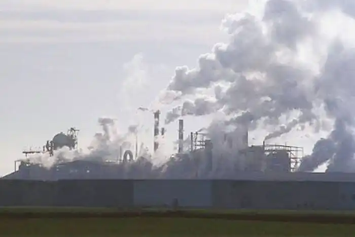 �SLa lucha contra las pasteras  sigue vigente⬝