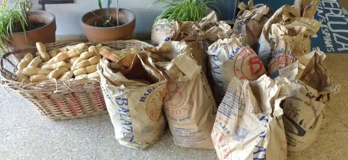 Clausuraron una panadería clandestina y decomisaron 800 kilos de pan