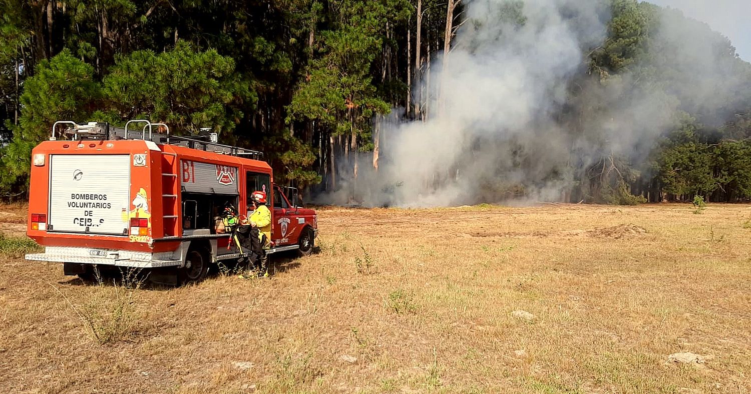 Incendio en Estancia “La Pellegrina”