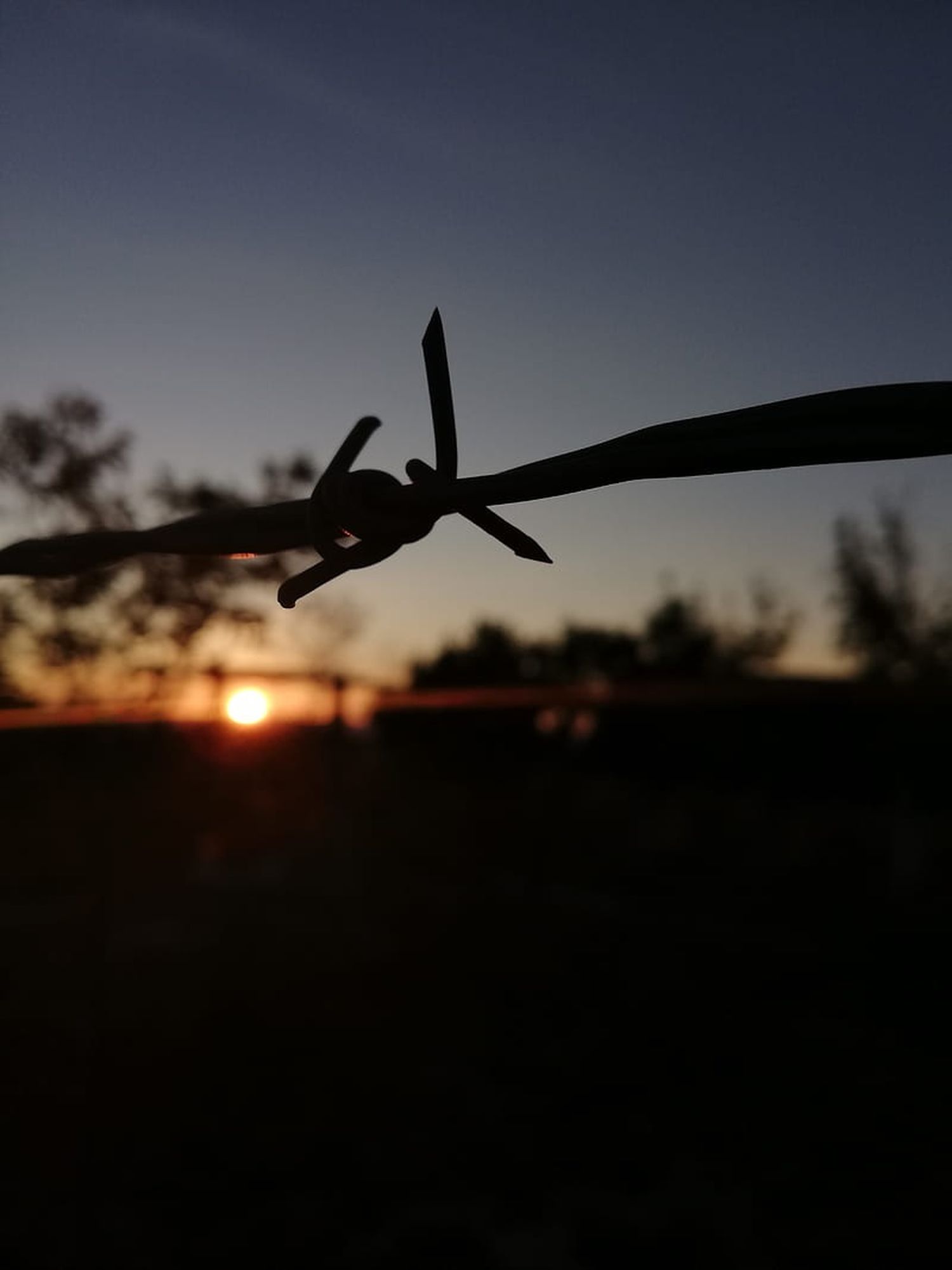 Los otros campos