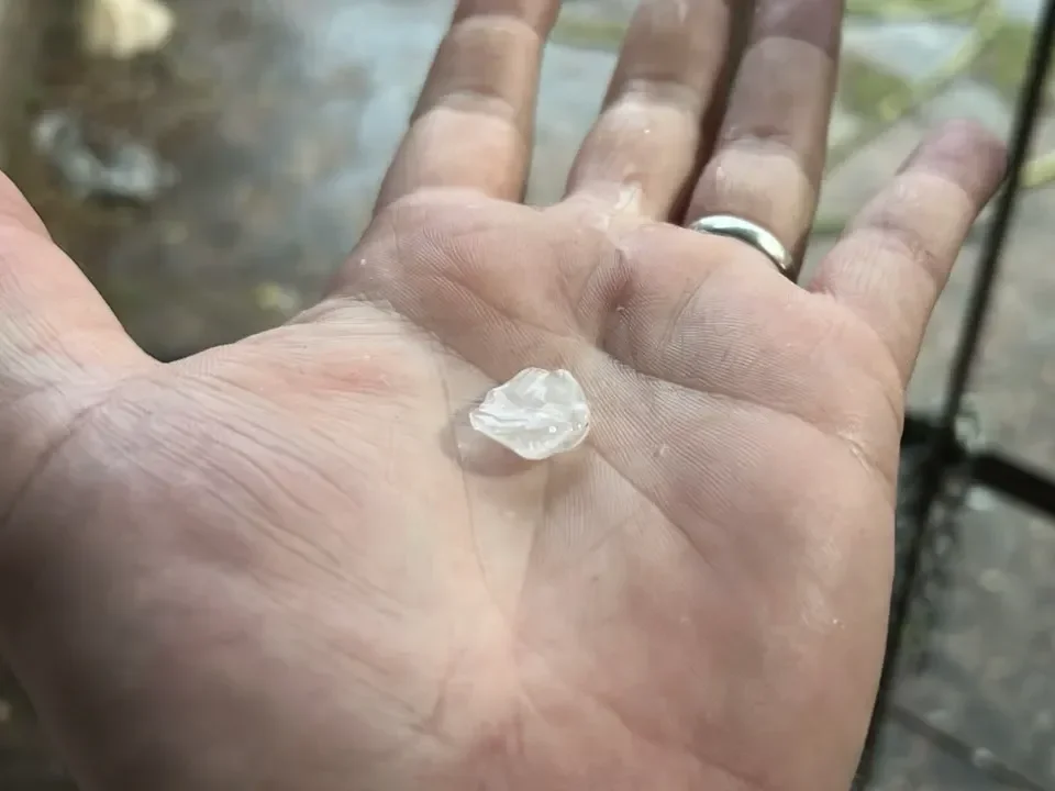 Miniatura de imagen 4