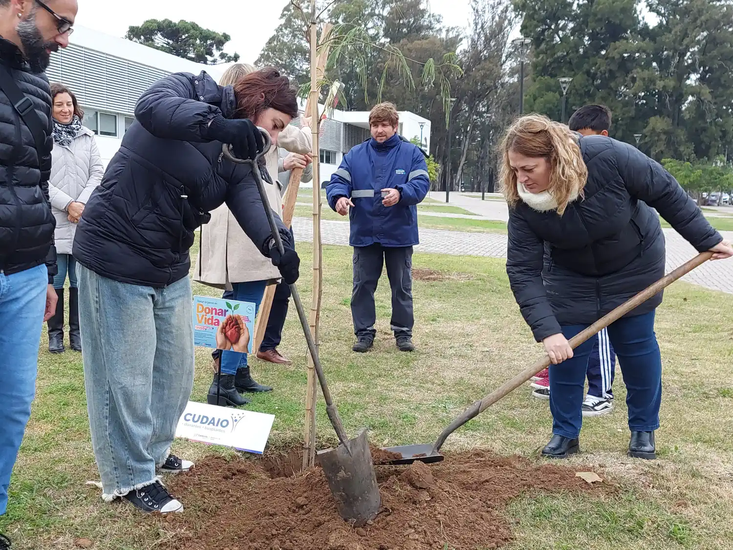 Hospital donantes - 4