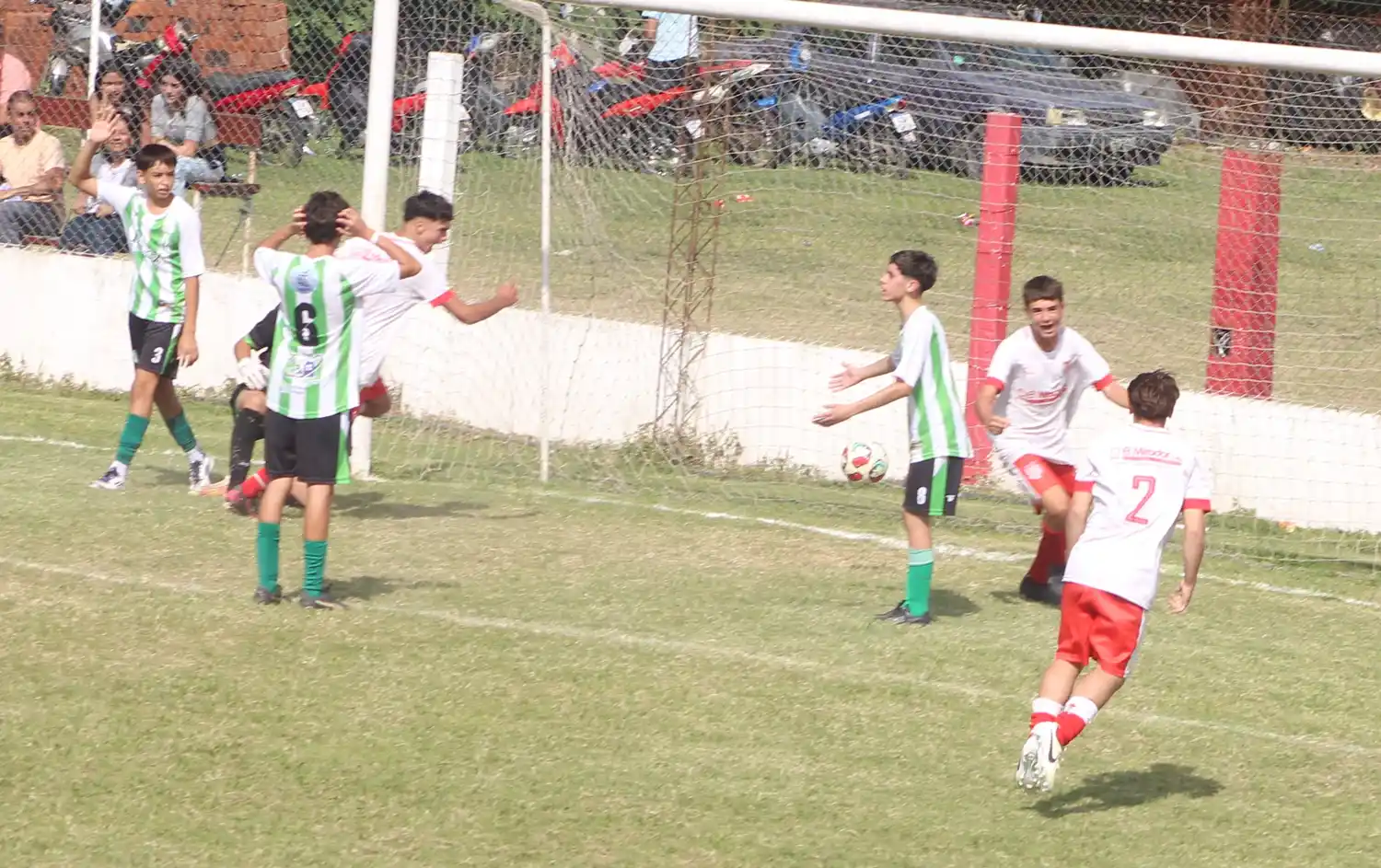 Resultados  de Divisiones Inferiores y Femenino