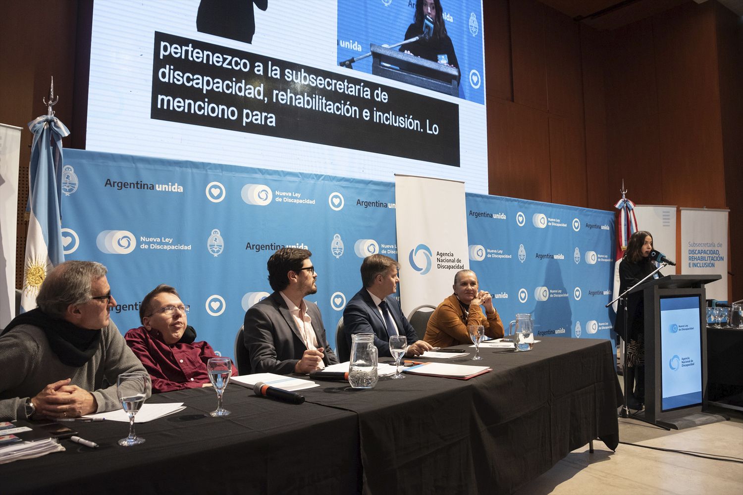 Ley de Discapacidad: Entre Ríos presente en el debate