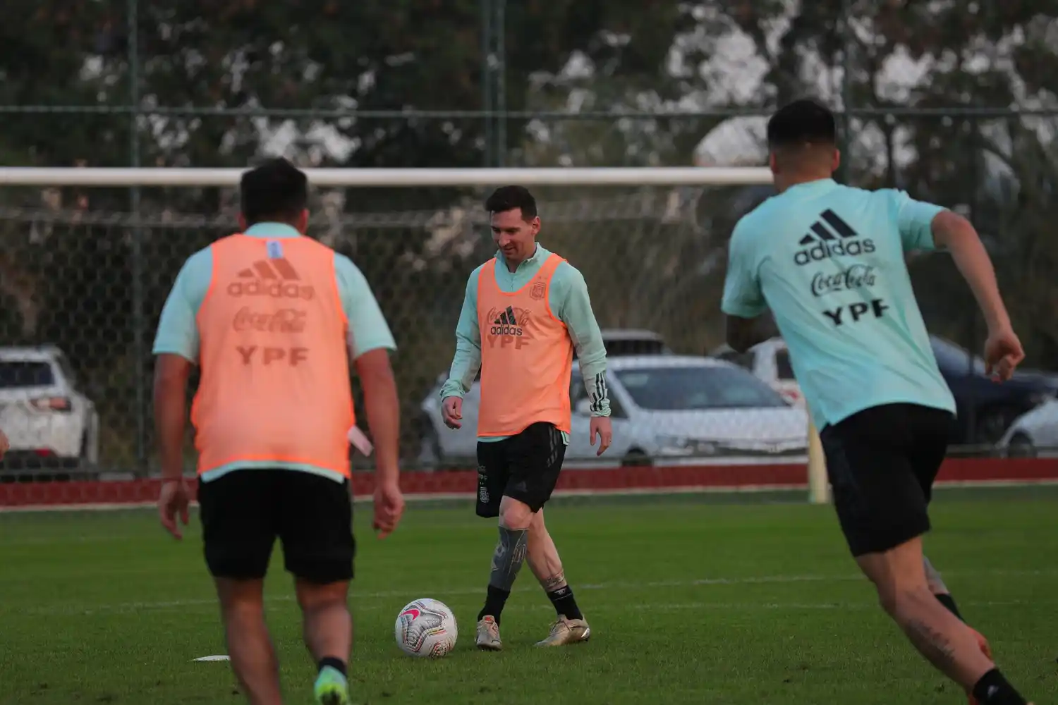 Cuáles son las dudas que tiene Scaloni: hay diez nombres para cinco lugares