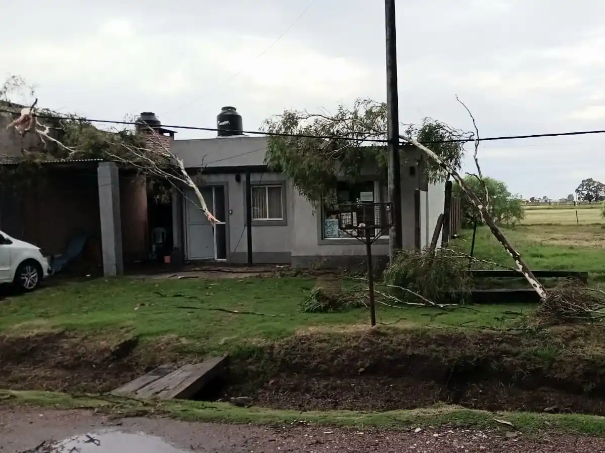Ramas de árboles volaron sobre los techos de las viviendas.
