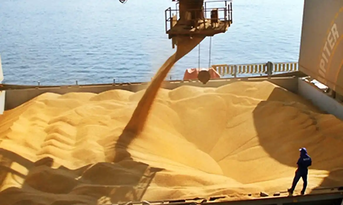 Agroexportadores: liquidación récord de divisas en julio y en lo que va de 2021