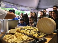 6ta Fiesta del Queso: toda la grilla del evento que será del viernes 6 al domingo 8 en el Parque