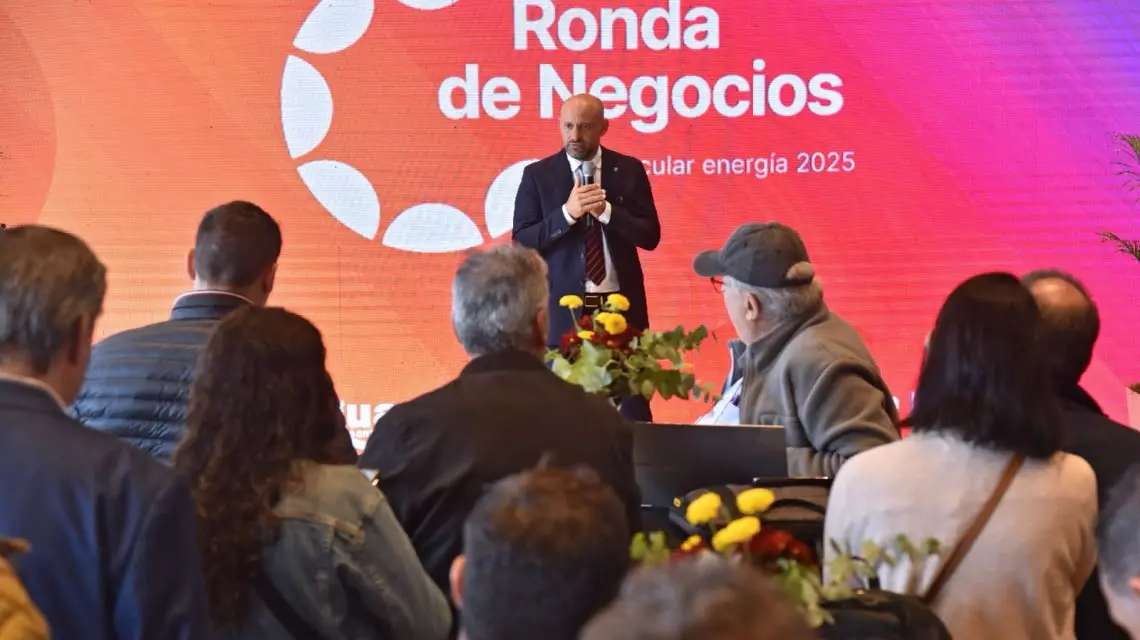 Ronda de Negocios Vincular Energía 2025.