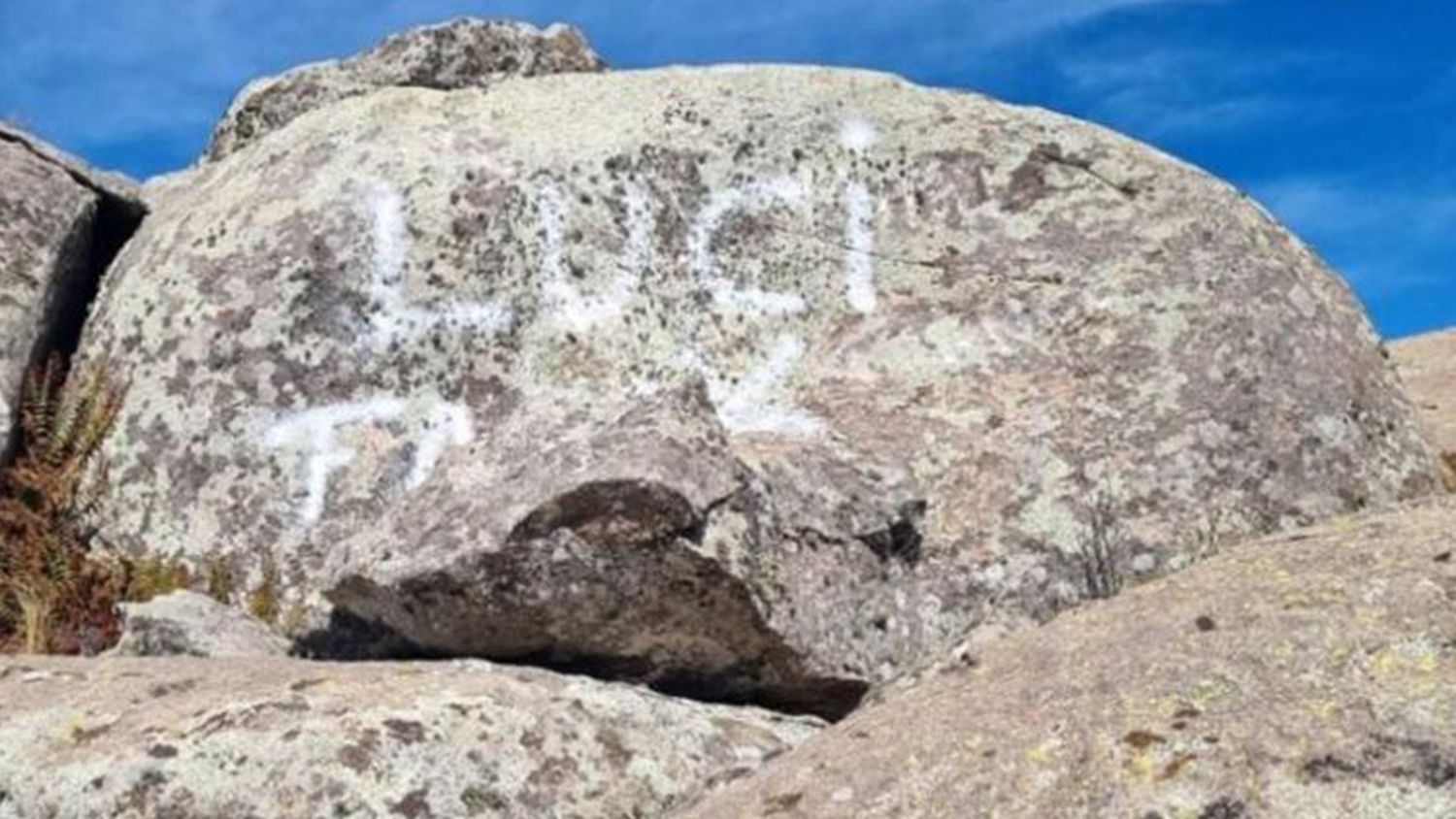 La pintura del turista detenido