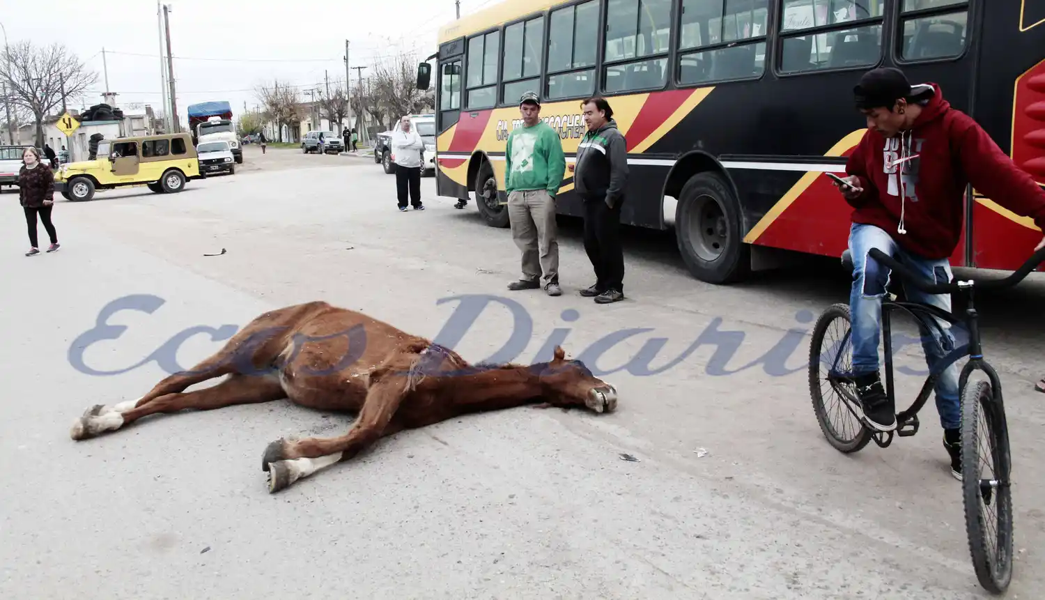 Colectivo con pasajeros atropelló a un caballo en la avenida Campos
