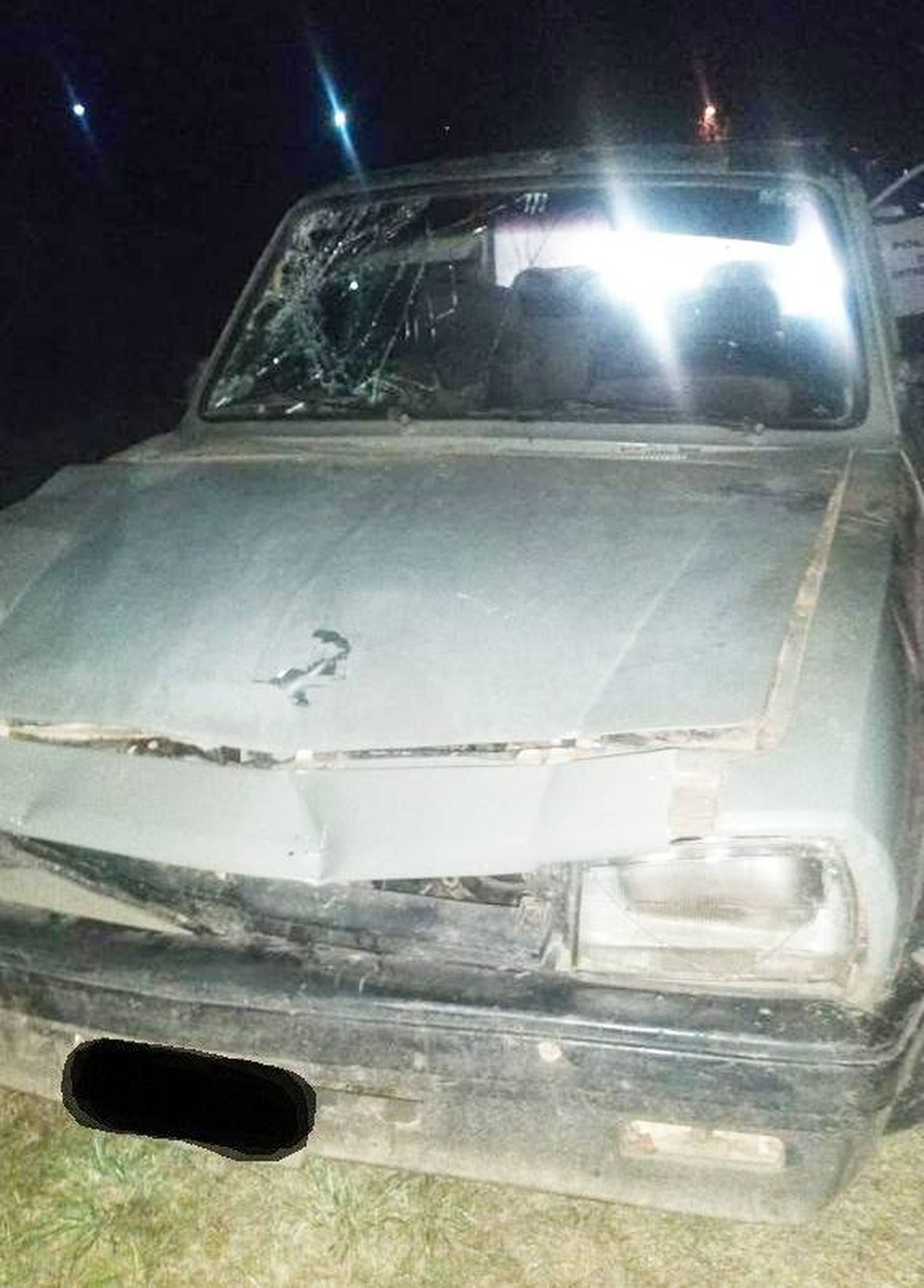 Una familia colisionó con su automóvil a un equino sobre Ruta 18