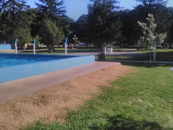 Vecinos de Gardey denunciaron que continúan las fumigaciones en los espacios públicos 