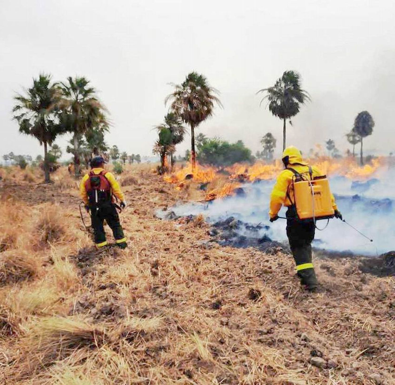 Recomendaciones para prevenir 
incendios e ingresos a espejos de agua