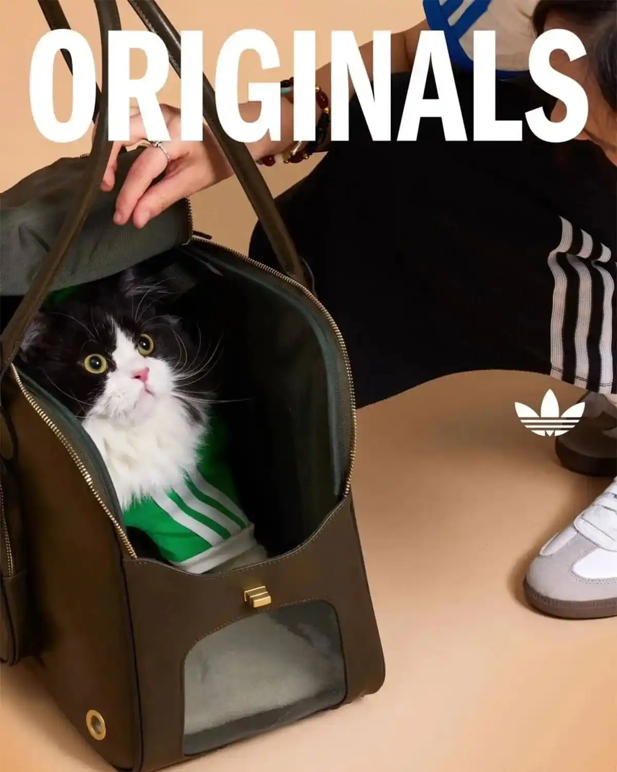 adidas mascotas - 2