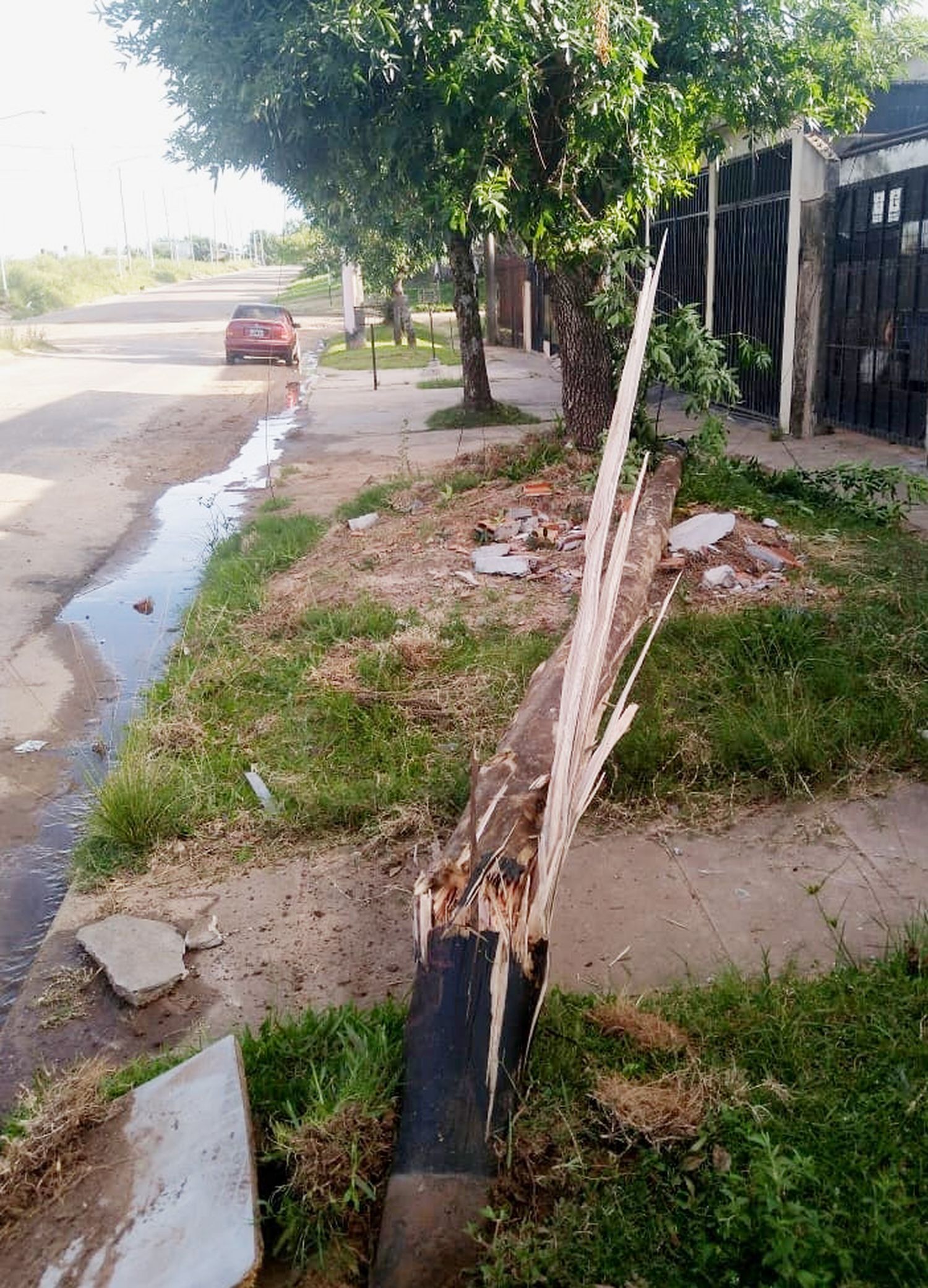 Hospitalizaron al conductor de un automóvil luego de chocar un poste