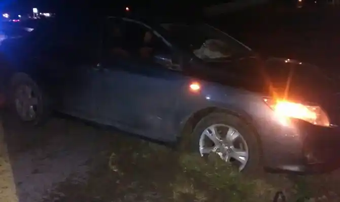 Un auto despistó esta madrugada en la Autovía 14 