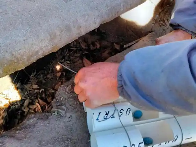 Se trabaja para combatir los roedores dañinos