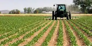 Se celebra el Día del Agricultor