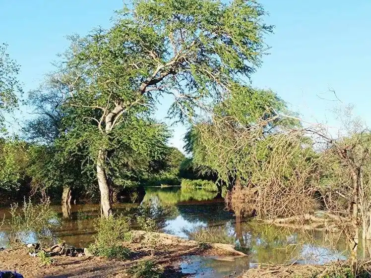 Una adolescente se ahogó en una represa en la localidad de El Potrillo
