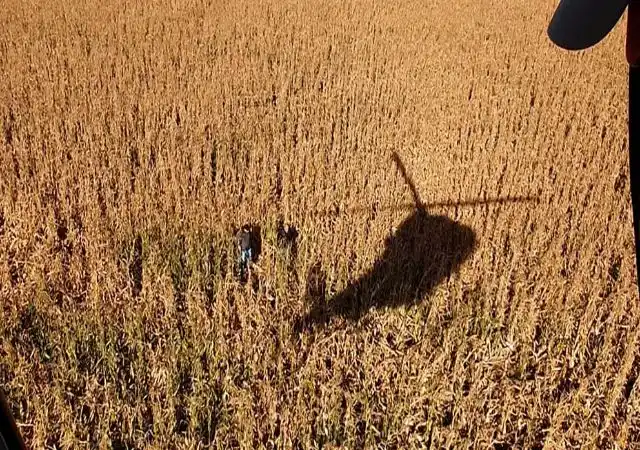 Entre Ríos en el “gran negocio” de los narcotraficantes