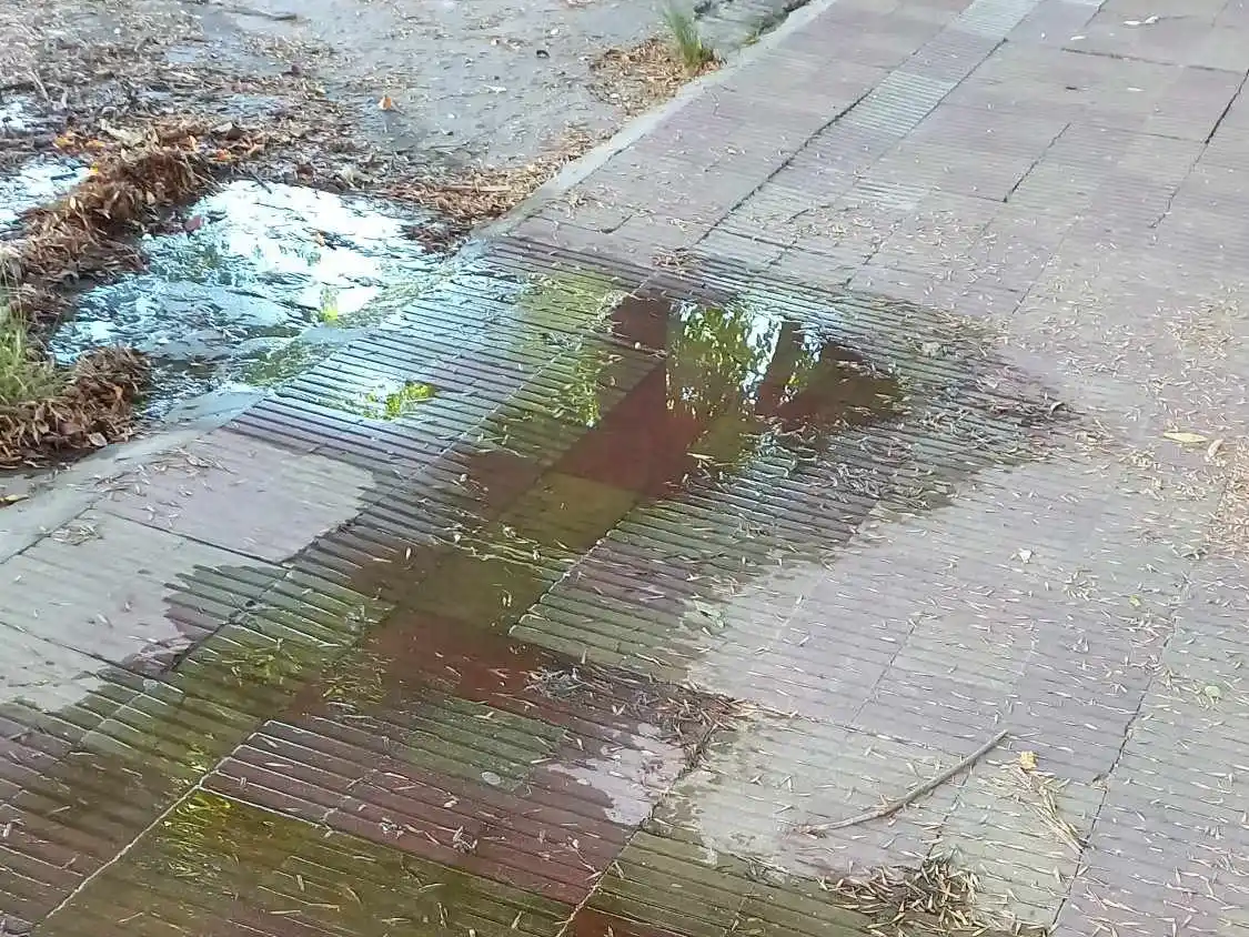 Pérdida de agua en Pellegrini al 1300
