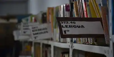 Por qué hay cada vez más chicos que no aprenden a leer en primer grado