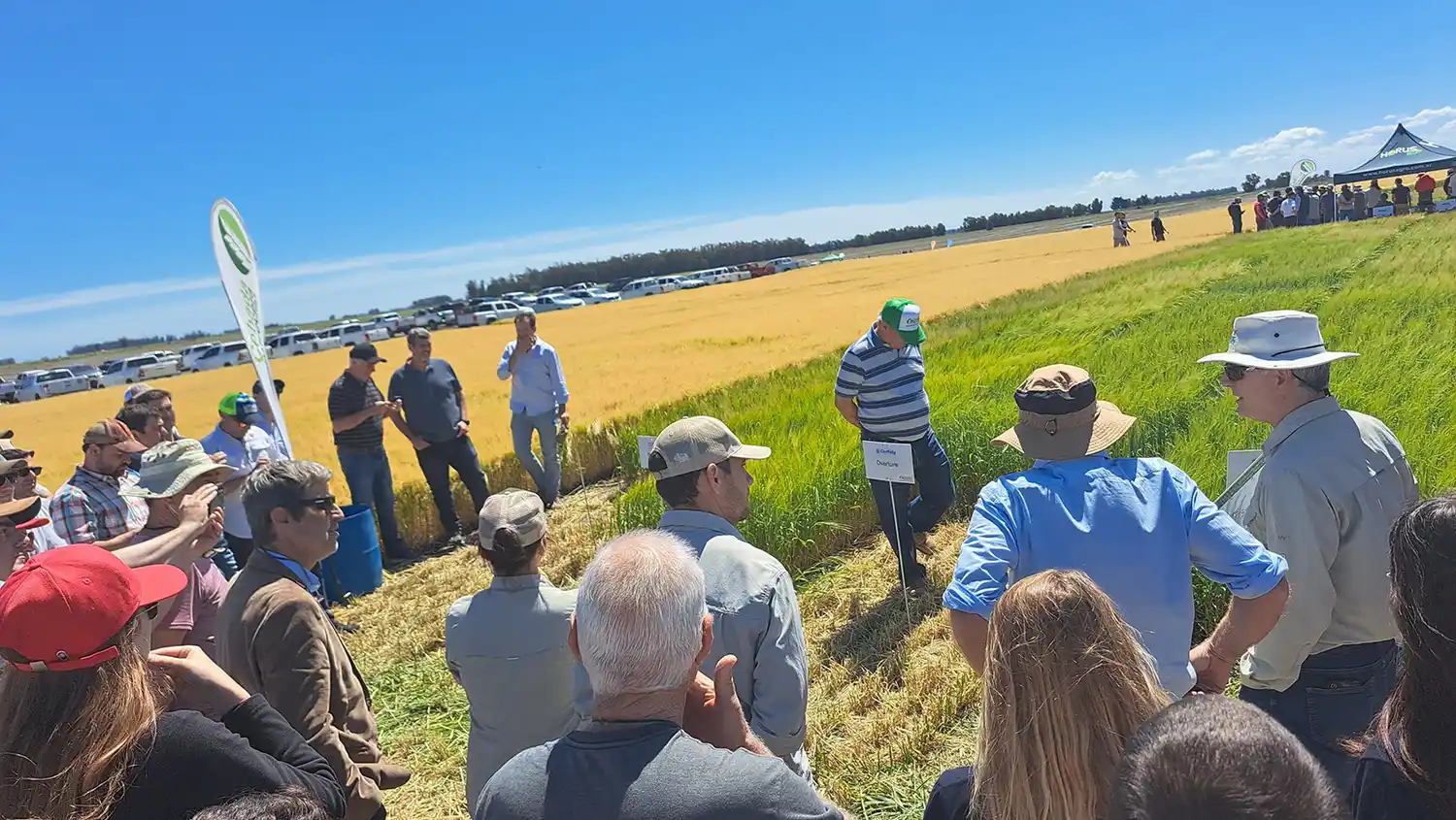 A campo. La recorrida de sembrados fue parte de la jornada