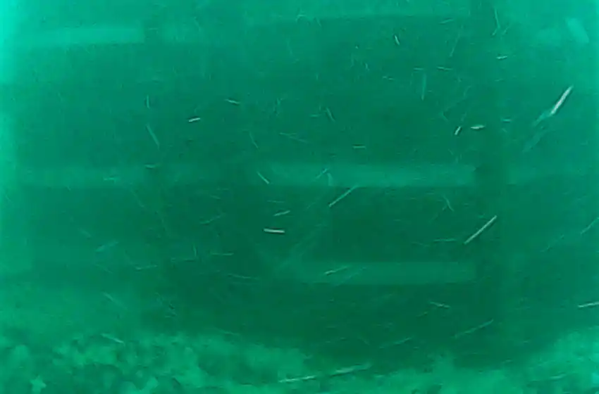 Hundieron cuatro barricas de cerveza para que se añejen en el mar