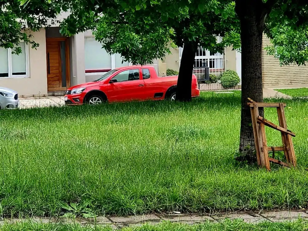 pastos espacios verdes públicos - 5.11.25