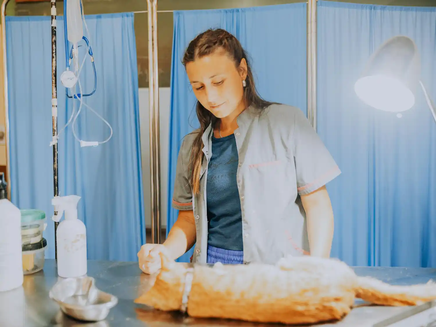 Las castraciones serán por demanda espontánea y sin turno previo.