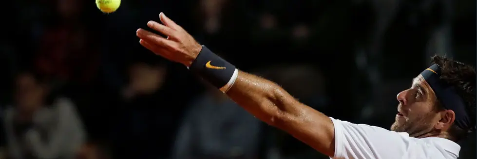 Del Potro le puso garra y estuvo cerca de la hazaña