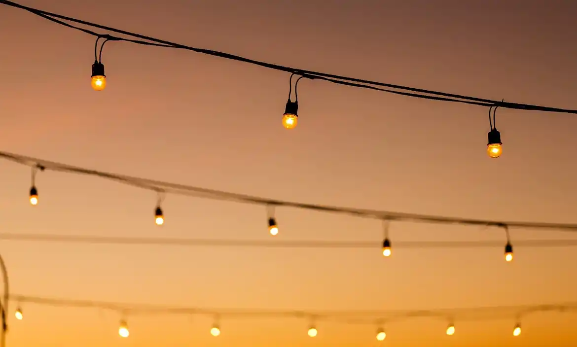 El Gobierno lanza un plan de contingencia para evitar los cortes de luz en el verano